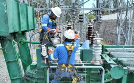 Presidente pide otra vez a las empresas que enciendan sus generadores.